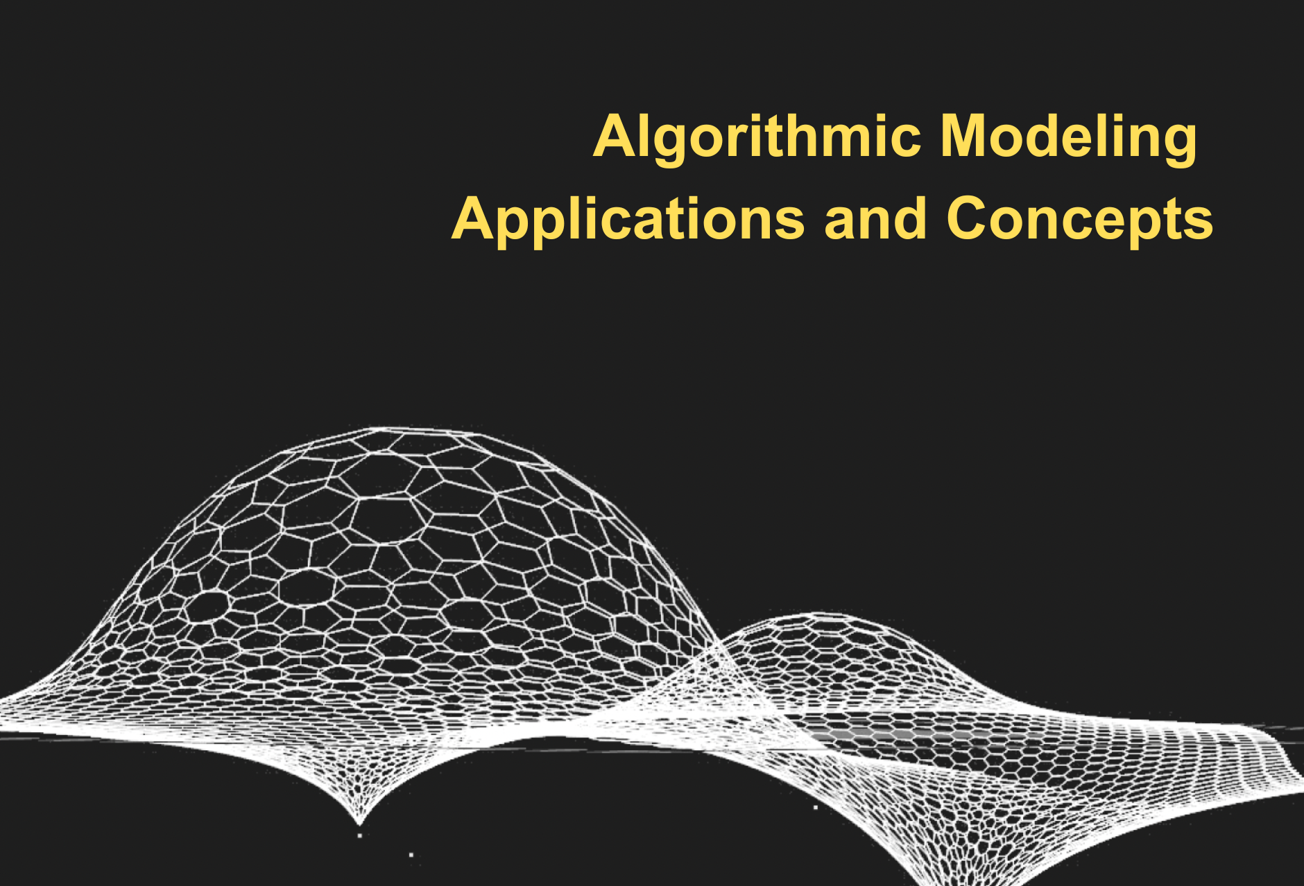 Algorithmic Modeling